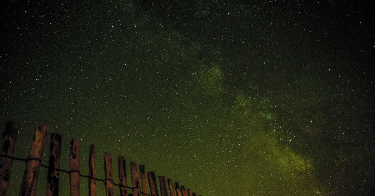 SEO Made Simple: A Beginner's Guide to Ranking Higher